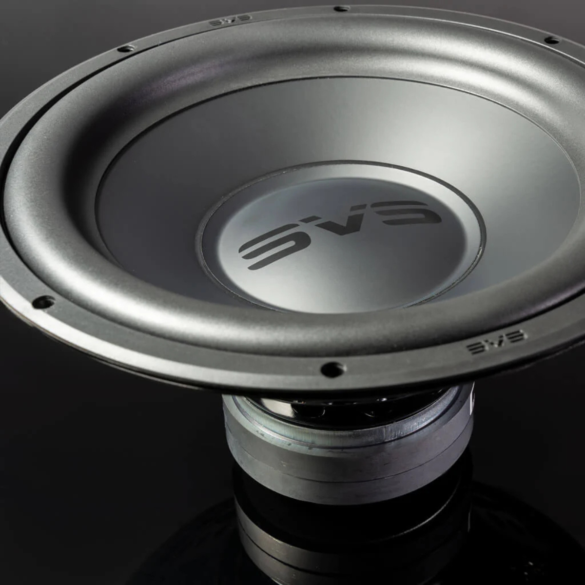 SVS PB-1000 Pro 12-Inch Ported Powered Subwoofer