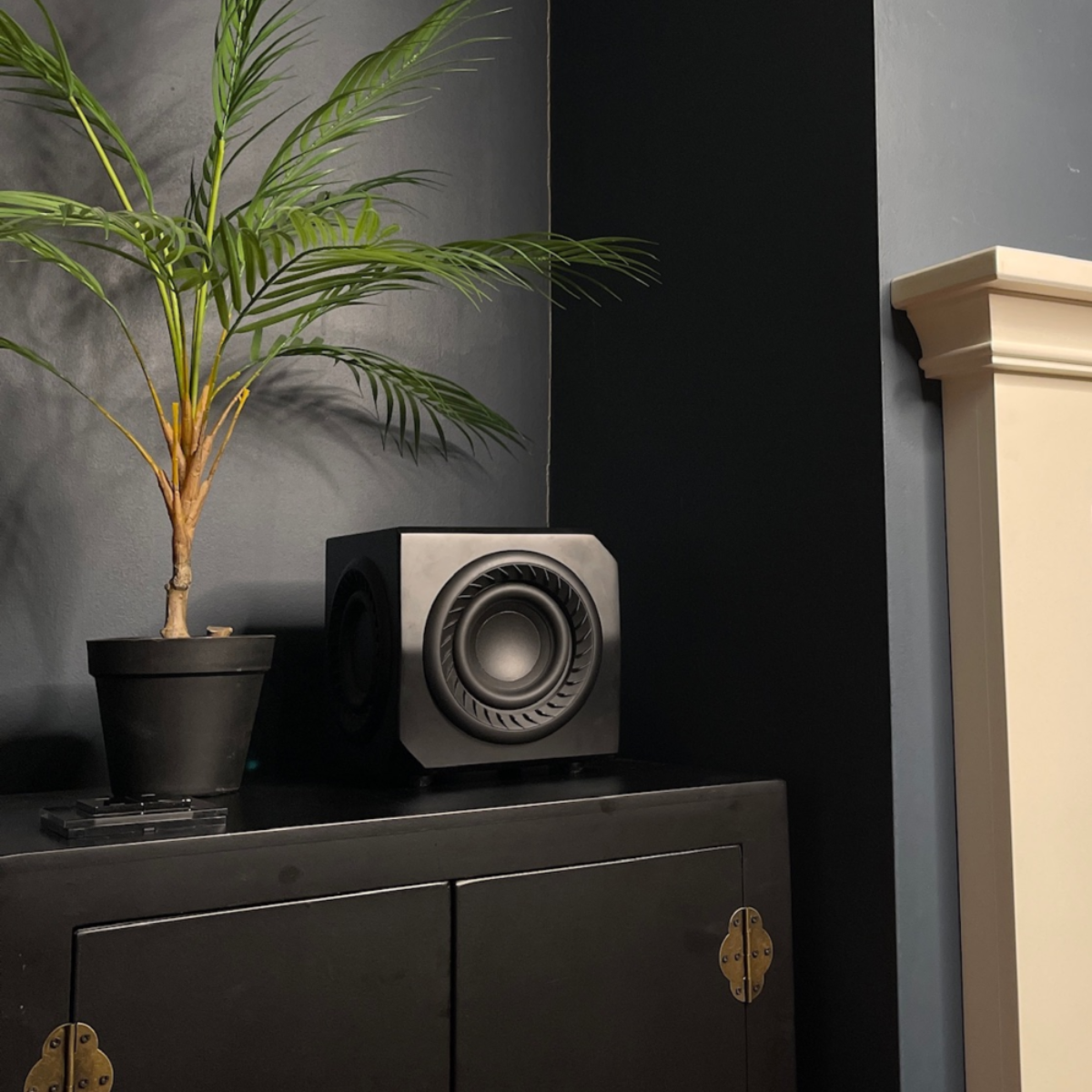 Subwoofer on a dark cabinet with a plant next to it against a gray wall.