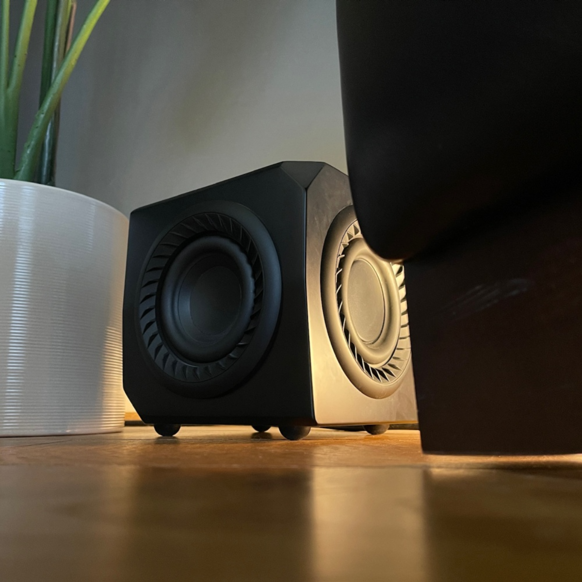 Pair of black speakers on a wooden floor with a plant in the background