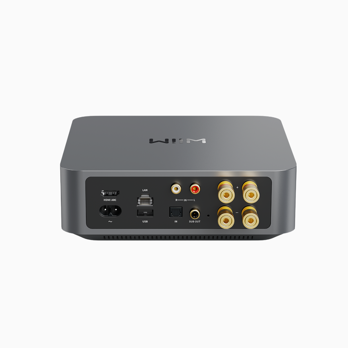 Wiim Amp Pro - Streaming Amplifier