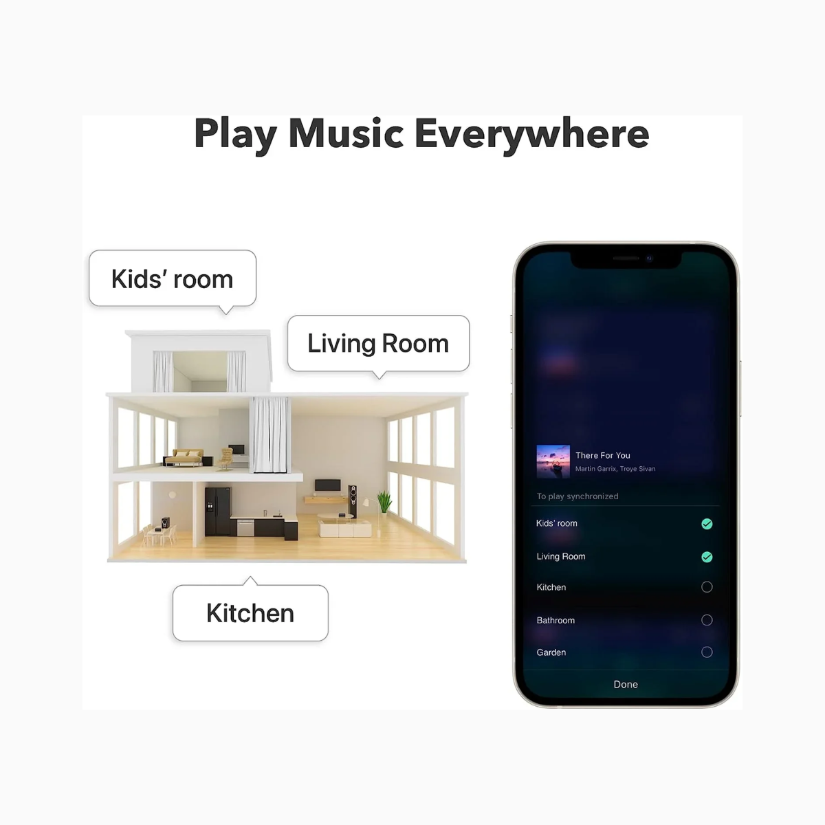 WiiM Pro-connectivity