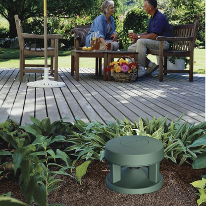 Bose Professional FreeSpace 360P Series II