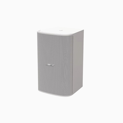 Bose Professional DesignMax DM10S-SUB Surface-Mount Subwoofer