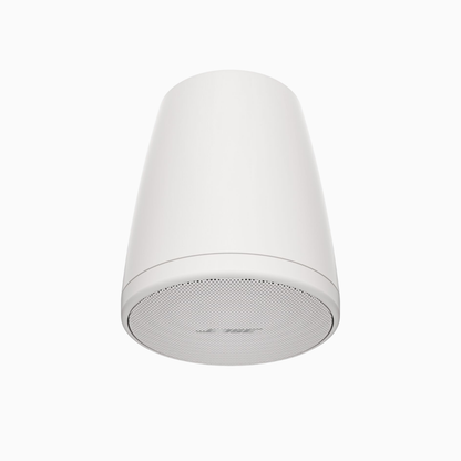 Bose Professional FreeSpace FS2P Pendant-Mount Loudspeaker - Pair