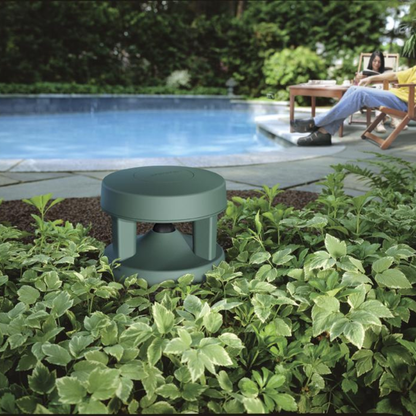 Bose Professional FreeSpace 360P Series II