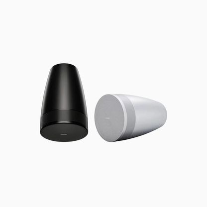 Bose Professional DesignMax DM5P Pendant Loudspeaker (Pair)