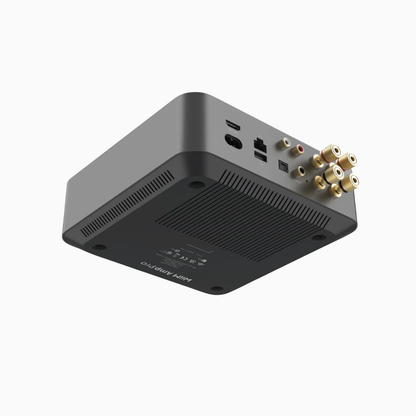 Wiim Amp Pro - Streaming Amplifier